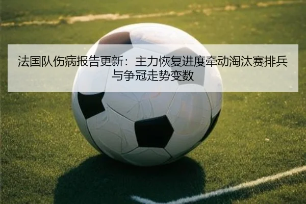法国队伤病报告更新：主力恢复进度牵动淘汰赛排兵与争冠走势变数 | leyu